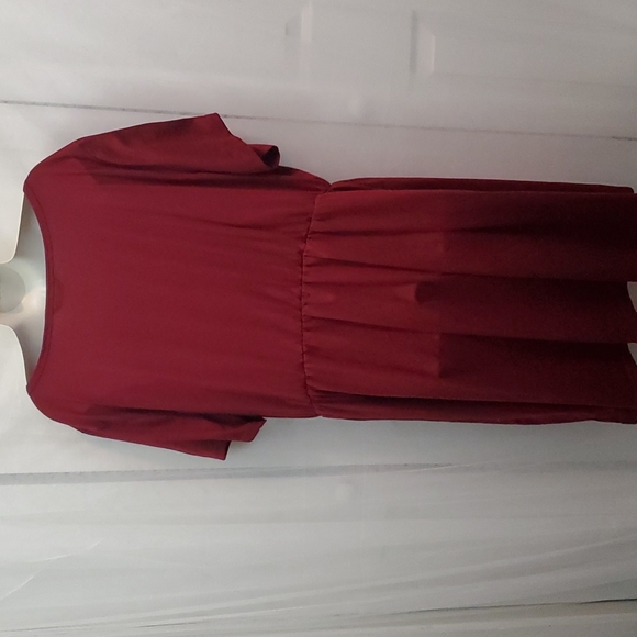Shein Plus V Neck Button Front Dress - Picture 6 of 7